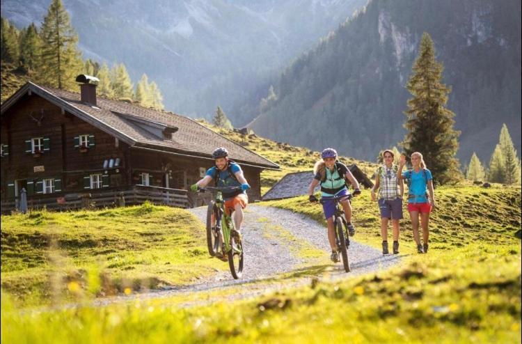 Haus Vogelmuehle Flachau Exterior foto